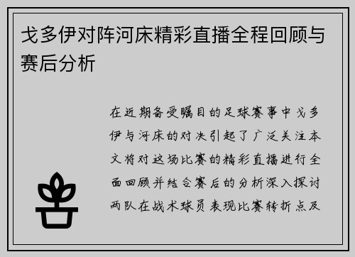 戈多伊对阵河床精彩直播全程回顾与赛后分析