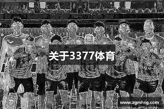 关于3377体育